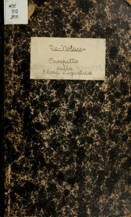 Hoornpapaver (Claucium flavum)